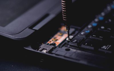 blog 3